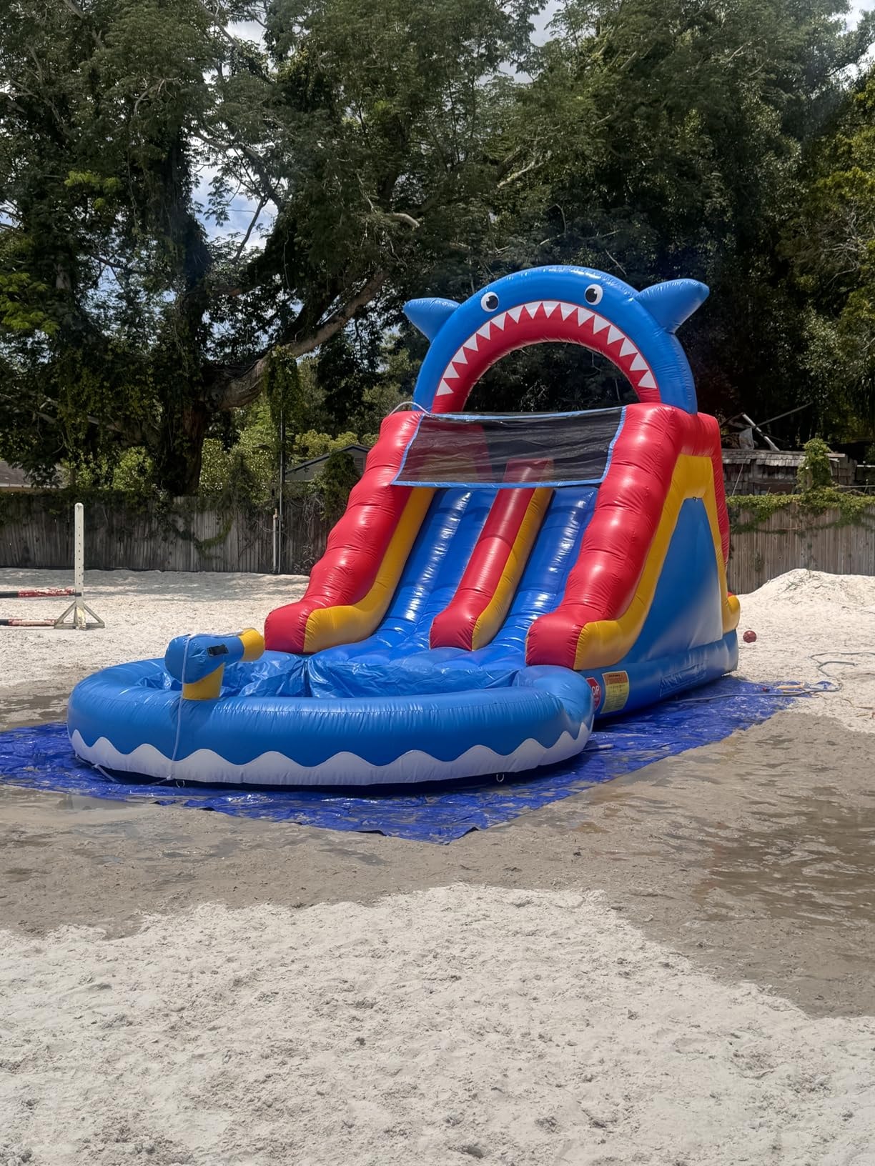 Shark Water Slide